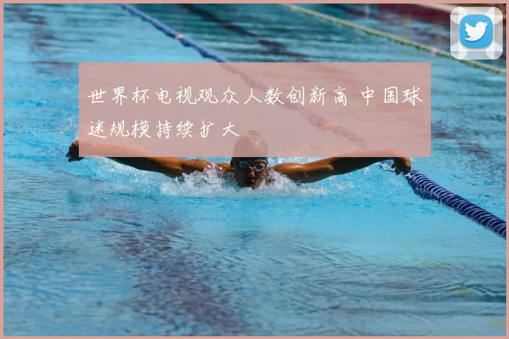 世界杯电视观众人数创新高 中国球迷规模持续扩大