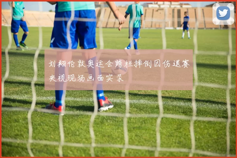 刘翔伦敦奥运会跨栏摔倒因伤退赛央视现场画面实录