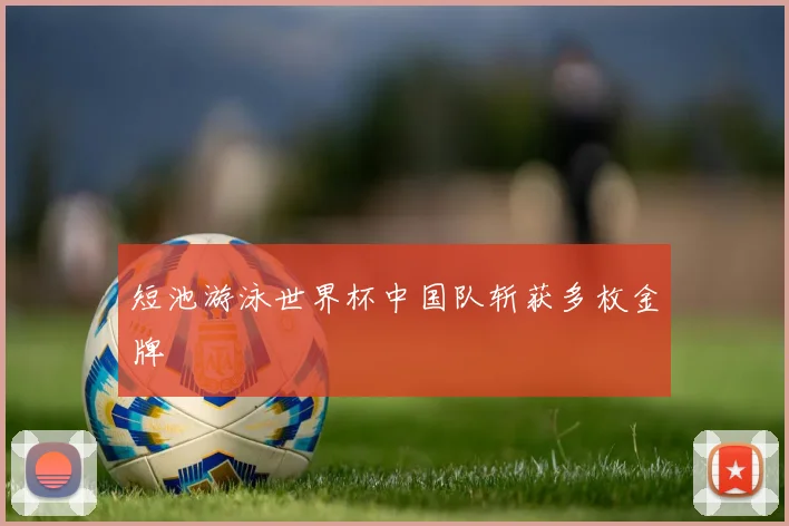 短池游泳世界杯中国队斩获多枚金牌