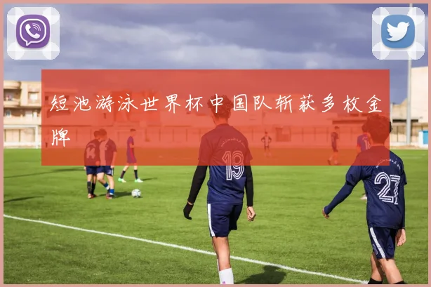 短池游泳世界杯中国队斩获多枚金牌