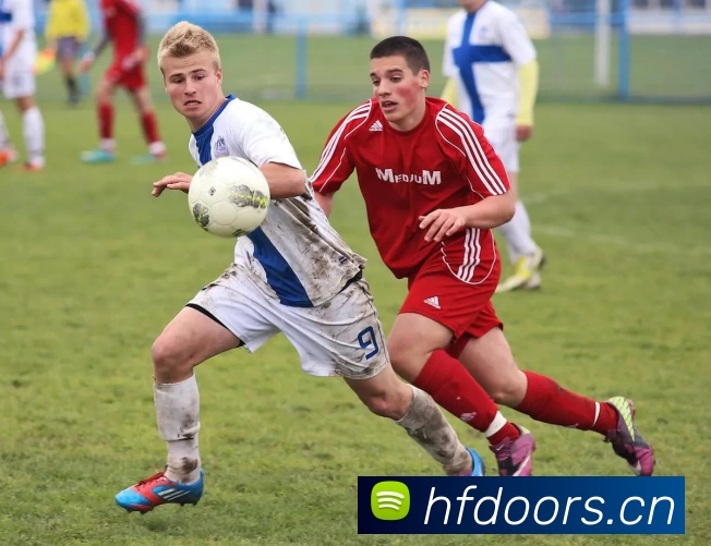 中欧平台 - 中欧网页版发展历程